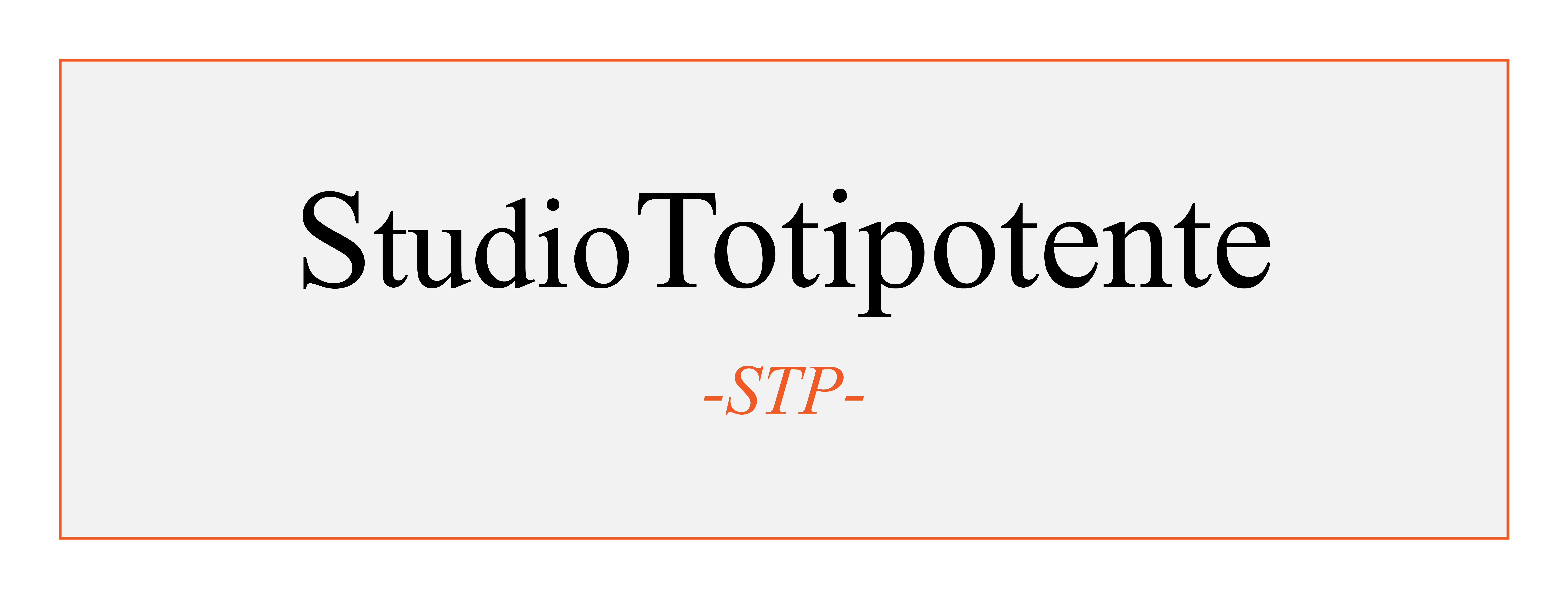 
			STP LOGO (002)
		